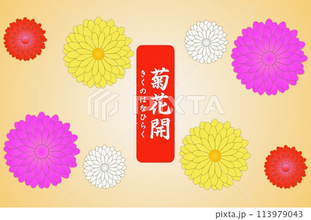 菊花開 きくのはなひらく 113979043