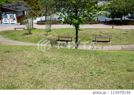 新緑の観音山公園　群馬県高崎市 113979136