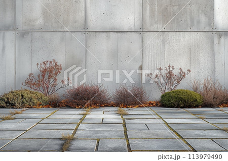 Concrete Wall with Autumn Plants 113979490