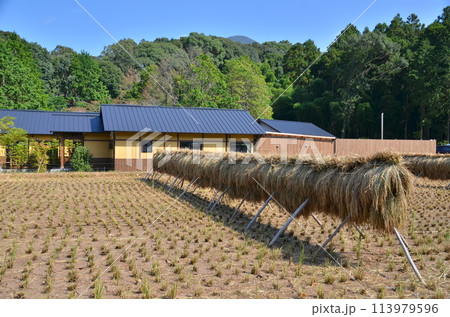 穏やかな田舎風景とその背後の山　緑の麓に佇む静かな住まい　山々を望む田園の家 113979596
