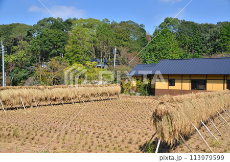 穏やかな田舎風景とその背後の山 緑の麓に佇む静かな住まい 山々を望む田園の家 穏やかな田舎風景とその背後の山 緑の麓に佇む静かな住まい 山々を望む田園の家 113979599