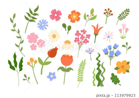 Cute flowers and leaves set. Vector illustration. Floral botanical elements isolated on white background. Hand drawn natural meadow flower objects Cute flowers and leaves set. Vector illustration. Floral botanical elements isolated on white background. Hand drawn natural meadow flower objects 113979923