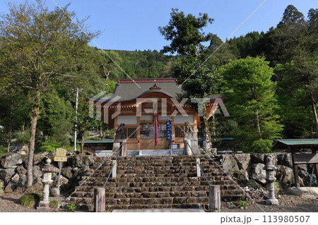 春の伊香具神社 春の伊香具神社 113980507