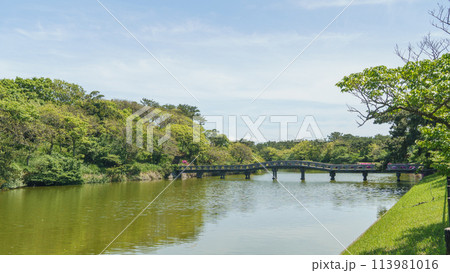 【千葉県富津市】千葉県立富津公園・中の島｜池にかかる橋 113981016
