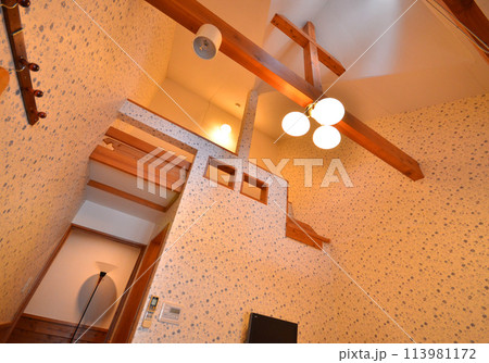 洗練されたデザインのロフトルーム　明るい光が満ちる吹き抜けの空間 113981172