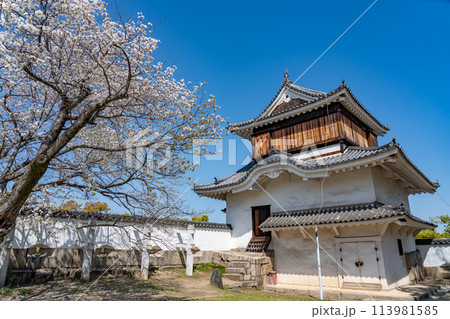 岡山県　春の岡山城の月見櫓と桜 113981585