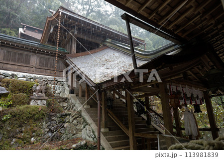 丹生川上神社中社の本殿 丹生川上神社中社の本殿 113981839