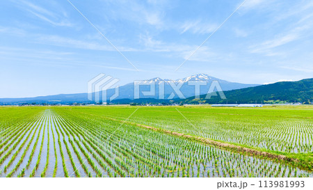 酒田市から望む鳥海山 113981993
