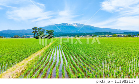 遊佐町から望む鳥海山 遊佐町から望む鳥海山 113982117