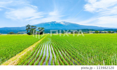 遊佐町から望む鳥海山 遊佐町から望む鳥海山 113982120