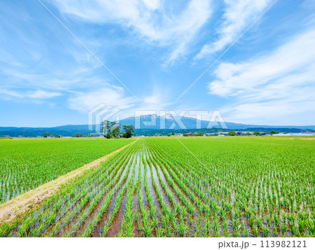遊佐町から望む鳥海山 遊佐町から望む鳥海山 113982121