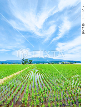 遊佐町から望む鳥海山 遊佐町から望む鳥海山 113982129