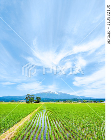 遊佐町から望む鳥海山 遊佐町から望む鳥海山 113982130