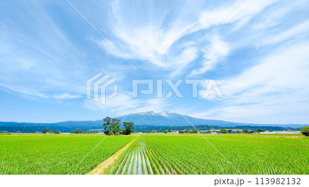 遊佐町から望む鳥海山 113982132