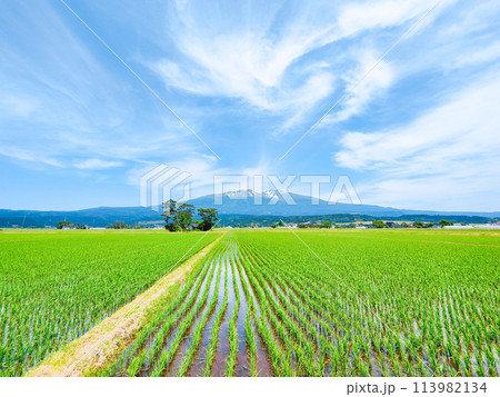 遊佐町から望む鳥海山 遊佐町から望む鳥海山 113982134