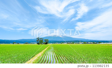 遊佐町から望む鳥海山 113982135
