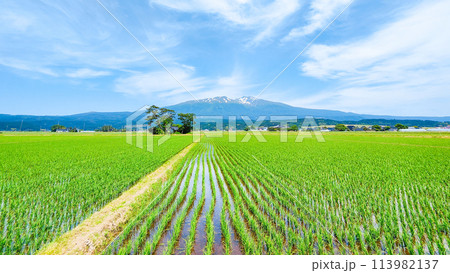 遊佐町から望む鳥海山 113982137