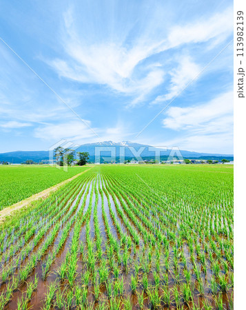 遊佐町から望む鳥海山 113982139