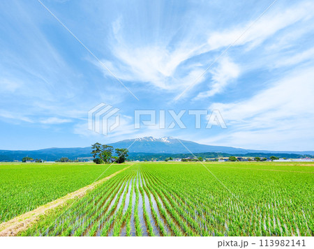 遊佐町から望む鳥海山 113982141