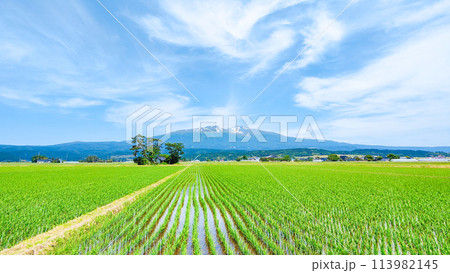 遊佐町から望む鳥海山 113982145