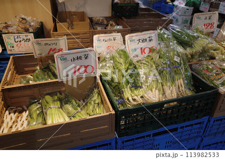 野菜が並ぶ市場 113982533