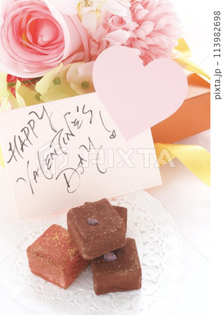 生チョコのギフト 生チョコのギフト 113982698