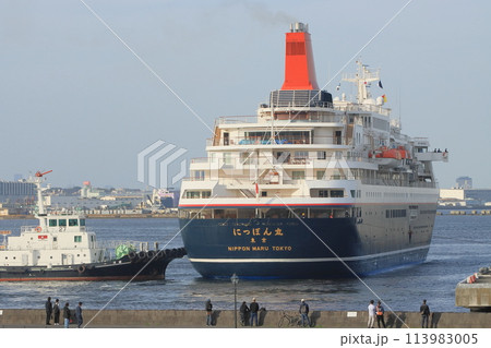 接岸する豪華客船　タグボートに押される客船 113983005