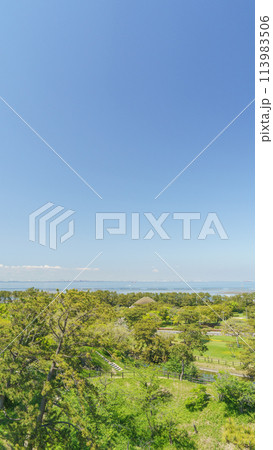 【千葉県富津市】千葉県立富津公園・中の島展望塔から(野外劇場方面)の風景 113983506