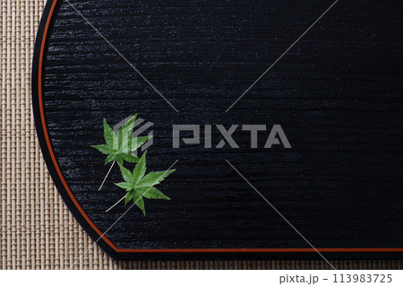 青もみじの和風イメージ　背景素材 113983725