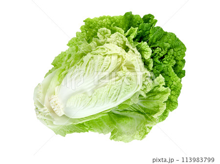 Fresh chinese cabbage leaf isolated. Green leaves pattern 113983799