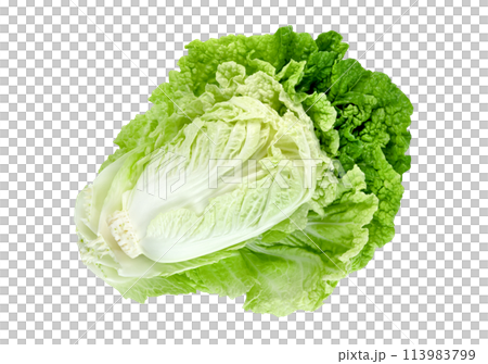 Fresh chinese cabbage leaf isolated. Green leaves pattern 113983799