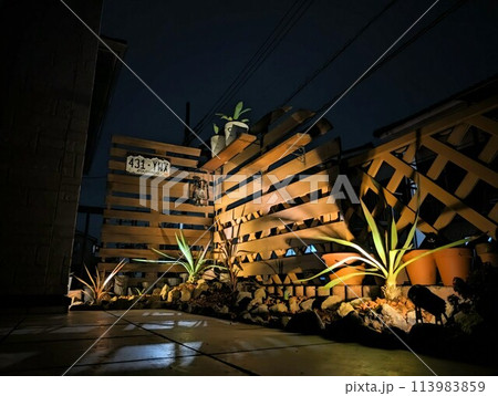 ドライガーデンとライトアップ 113983859