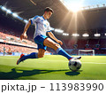 サッカーボールをシュートするサッカー選手 113983990