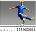 シュートを打つサッカー選手 113983991