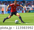サッカーボールを蹴る少年 113983992