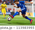 サッカーをする少年 113983993