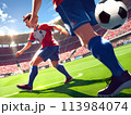 サッカーをする少年 113984074