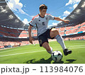 サッカーボールを蹴る男性 113984076