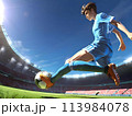 サッカーボールを蹴るサッカー選手 113984078