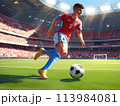 サッカーボールを追いかける女性 113984081