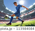 サッカーボールを蹴る男性 113984084