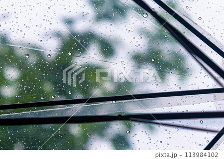 雨の日の傘についた雨粒 雨の日の傘についた雨粒 113984102