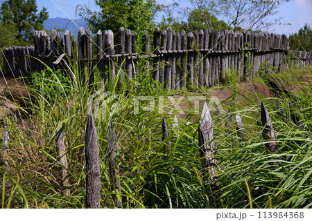 吉野ヶ里遺跡 外壕 吉野ヶ里遺跡 外壕 113984368