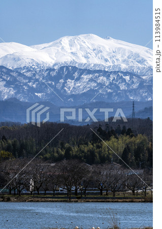 木場潟から望む霊峰白山 113984515