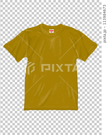 T-shirt (khaki) T-shirt (khaki) 113984673