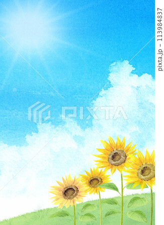 草原にひまわりの風景の水彩画　はがきテンプレート 113984837