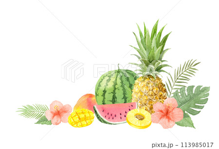 水彩で描いた夏のフルーツのイメージ　 113985017