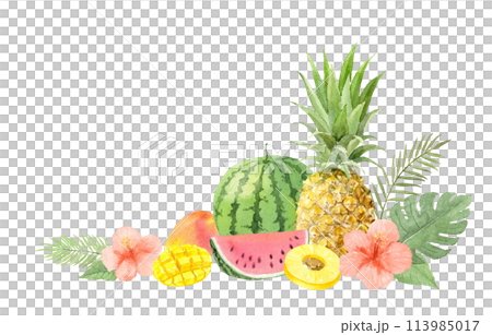 水彩で描いた夏のフルーツのイメージ　 113985017