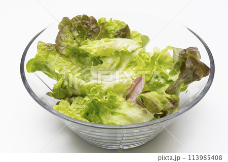 リーフレタス　野菜サラダ 113985408