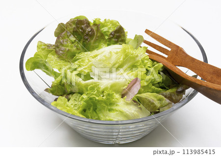 リーフレタス　野菜サラダ 113985415